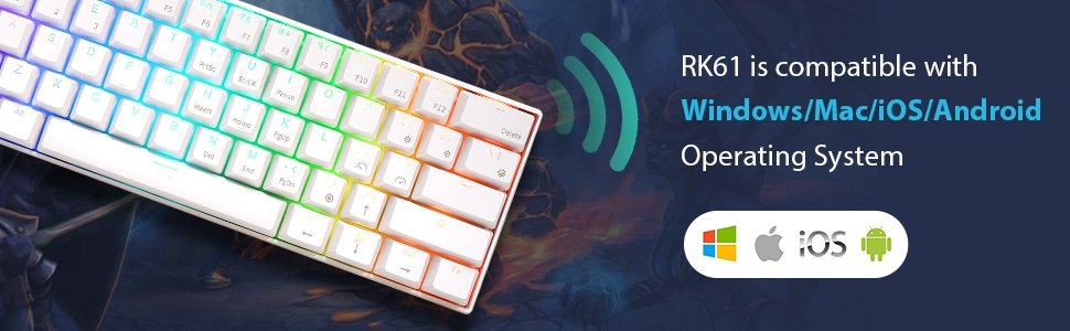 RK61
