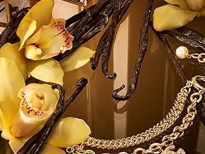 Olfactory Notes: Vanilla