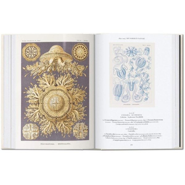 The Art and Science of Ernst Haeckel - Imagen 7