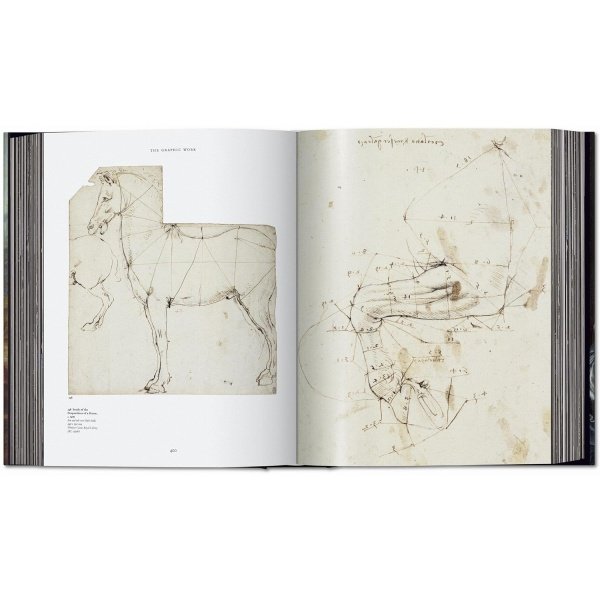 Leonardo da Vinci, 1452-1519: The Complete Paintings and Drawings - Imagen 14