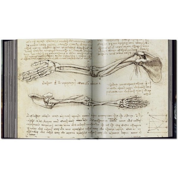 Leonardo da Vinci, 1452-1519: The Complete Paintings and Drawings - Imagen 15