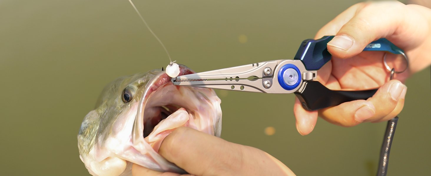 saltwater pliers