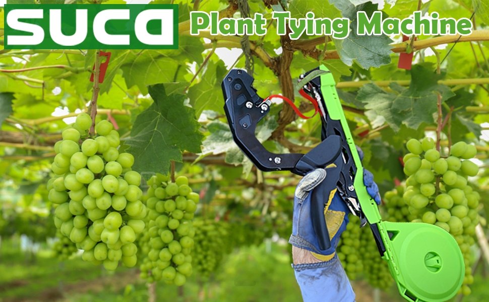 Suca Plant tying machine