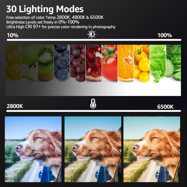 Paquete de 2 luces LED de video, luz NiceVeedi Studio, kit de iluminación regulable de 2800-6500K para fotografía con soporte de trípode y soporte para teléfono, luz de transmisión de 73 pulgadas para - Imagen 3