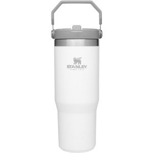 STANLEY IceFlow Stainless Steel Tumbler with Straw, Vacuum Insulated Water Bottle for Home, Office or Car, Reusable Cup with Straw Leak Resistant Flip