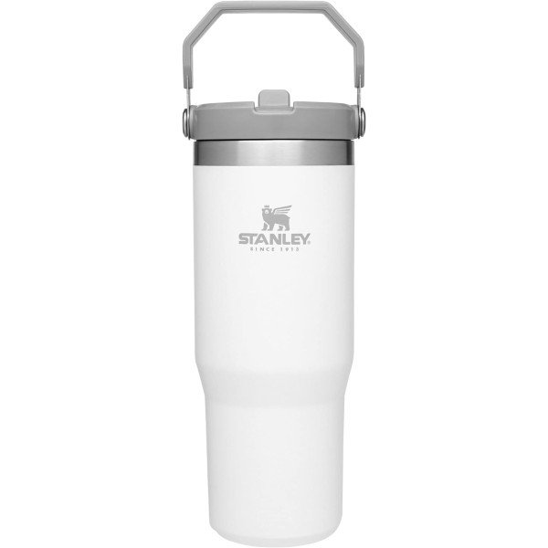 STANLEY IceFlow Stainless Steel Tumbler with Straw, Vacuum Insulated Water Bottle for Home, Office or Car, Reusable Cup with Straw Leak Resistant Flip