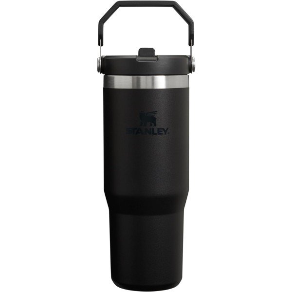 STANLEY IceFlow Stainless Steel Tumbler with Straw, Vacuum Insulated Water Bottle for Home, Office or Car, Reusable Cup with Straw Leak Resistant Flip