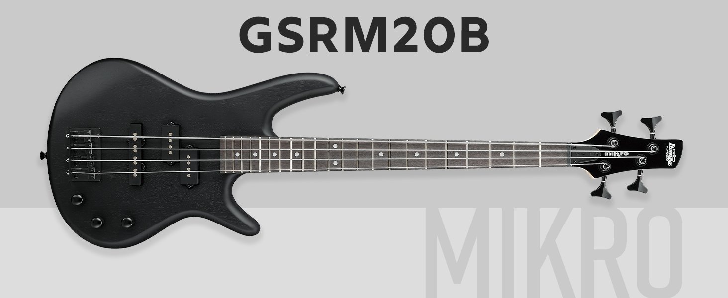 GSRM20B