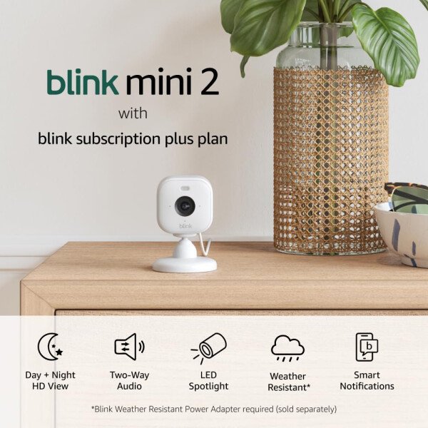 Blink Mini 2 (último modelo): Cámara de seguridad doméstica y para mascotas con video HD, visión nocturna en color, detección de movimiento, audio bidireccional y luz integrada - 1 cámara (blanca) - Image 17