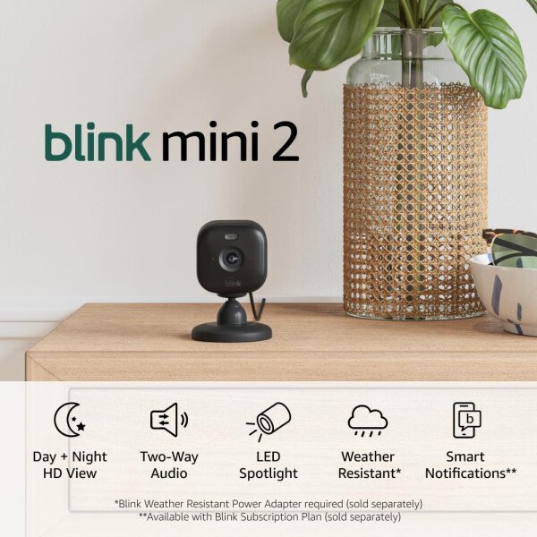 Blink Mini 2 (último modelo): Cámara de seguridad doméstica y para mascotas con video HD, visión nocturna en color, detección de movimiento, audio bidireccional y luz integrada - 1 cámara (blanca) - Image 18