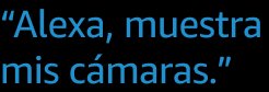 "Alexa, muestra mis cámaras".