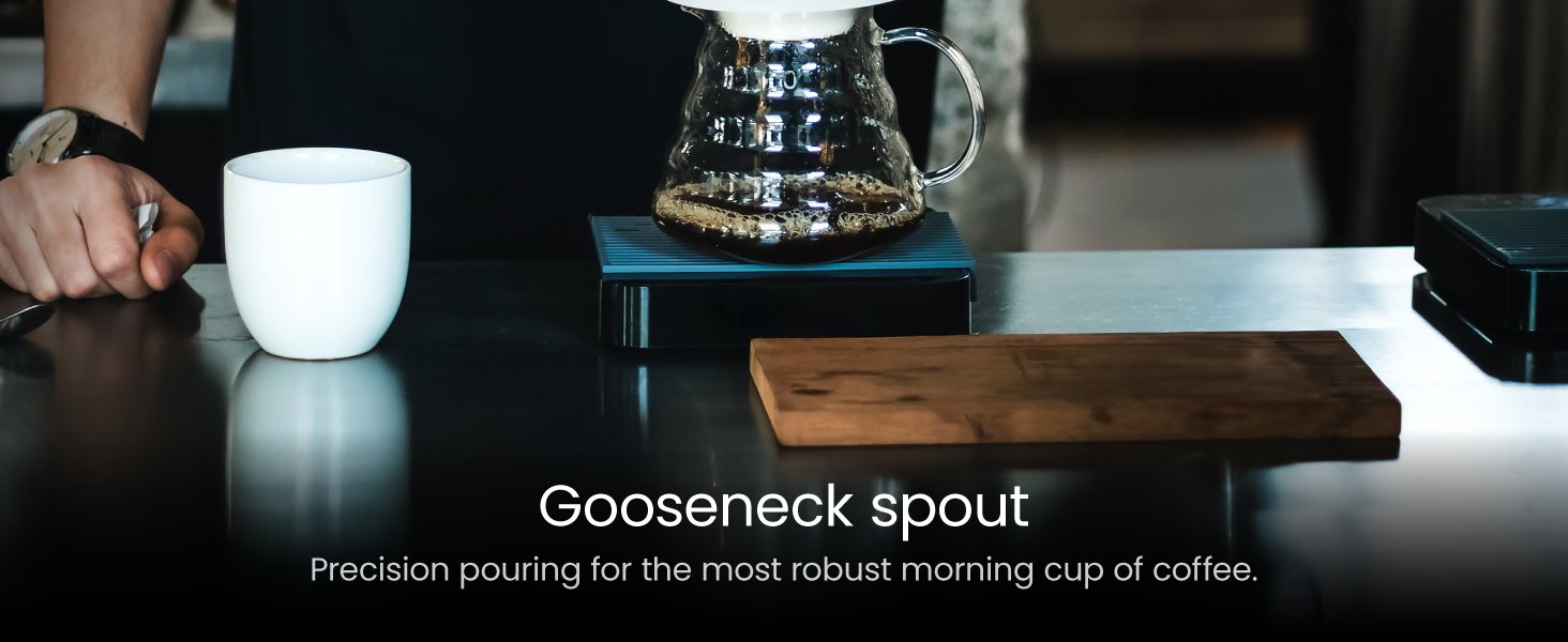 Gooseneck Spout