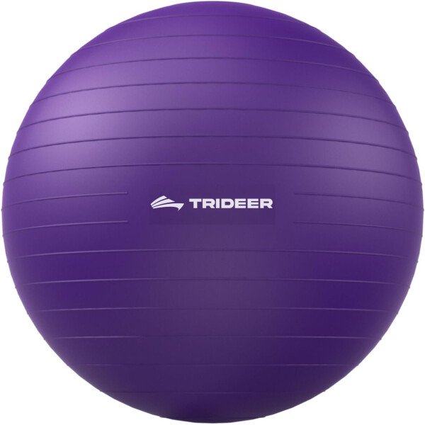 Trideer Pelota de yoga extra gruesa, 5 tamaños, pelota de gimnasio, silla de pelota resistente para equilibrio, estabilidad, embarazo, bomba rápida incluida - Image 54