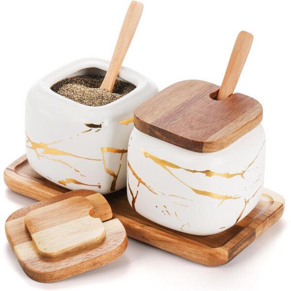 Dicunoy Paquete de 2 azucareros de cerámica con tapas y cucharas, recipiente de sal y azúcar, recipiente de café de azúcar de porcelana blanca, macetas de especias para condimentos con bandeja de
