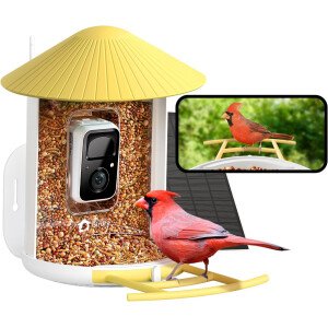 NETVUE Alimentador inteligente para pájaros con cámara AI alimentado por energía solar, 2 MP inalámbrico de observación de aves silvestres, transmisión en vivo y visión nocturna, funciona con Alexa y