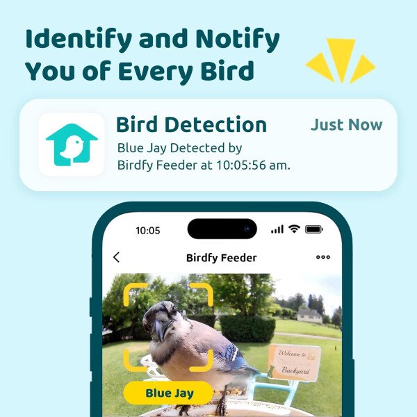 NETVUE Alimentador inteligente para pájaros con cámara AI alimentado por energía solar, 2 MP inalámbrico de observación de aves silvestres, transmisión en vivo y visión nocturna, funciona con Alexa y - Imagen 2