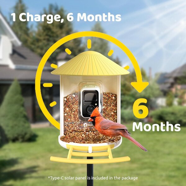 NETVUE Alimentador inteligente para pájaros con cámara AI alimentado por energía solar, 2 MP inalámbrico de observación de aves silvestres, transmisión en vivo y visión nocturna, funciona con Alexa y - Imagen 7