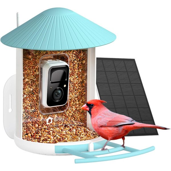 NETVUE Alimentador inteligente para pájaros con cámara AI alimentado por energía solar, 2 MP inalámbrico de observación de aves silvestres, transmisión en vivo y visión nocturna, funciona con Alexa y - Imagen 10