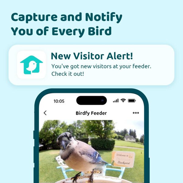 NETVUE Alimentador inteligente para pájaros con cámara AI alimentado por energía solar, 2 MP inalámbrico de observación de aves silvestres, transmisión en vivo y visión nocturna, funciona con Alexa y - Imagen 11