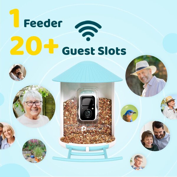 NETVUE Alimentador inteligente para pájaros con cámara AI alimentado por energía solar, 2 MP inalámbrico de observación de aves silvestres, transmisión en vivo y visión nocturna, funciona con Alexa y - Imagen 13