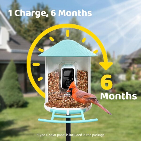NETVUE Alimentador inteligente para pájaros con cámara AI alimentado por energía solar, 2 MP inalámbrico de observación de aves silvestres, transmisión en vivo y visión nocturna, funciona con Alexa y - Imagen 15