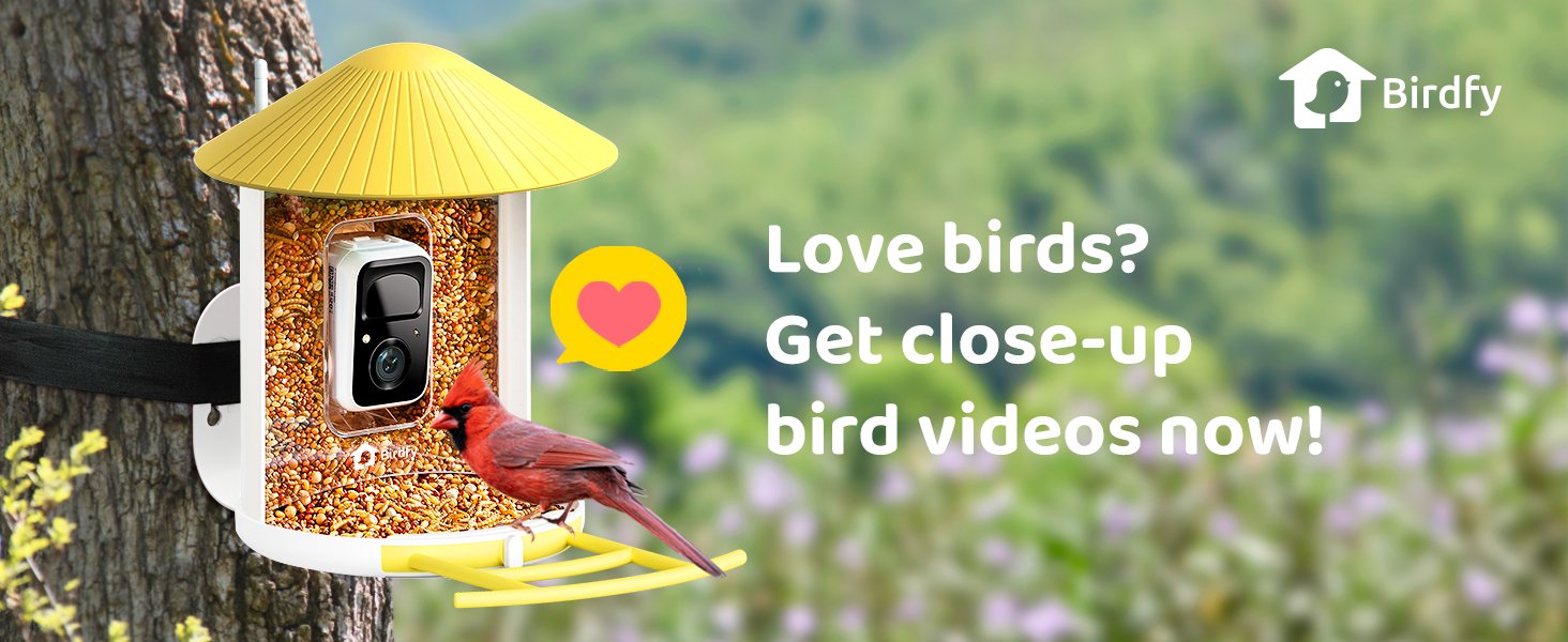 birdfy