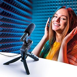 microphone only