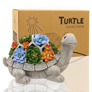 paquete de caja de regalo