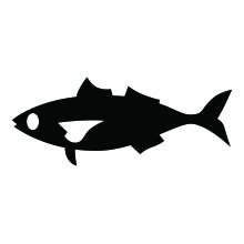 Temporizador de pesca