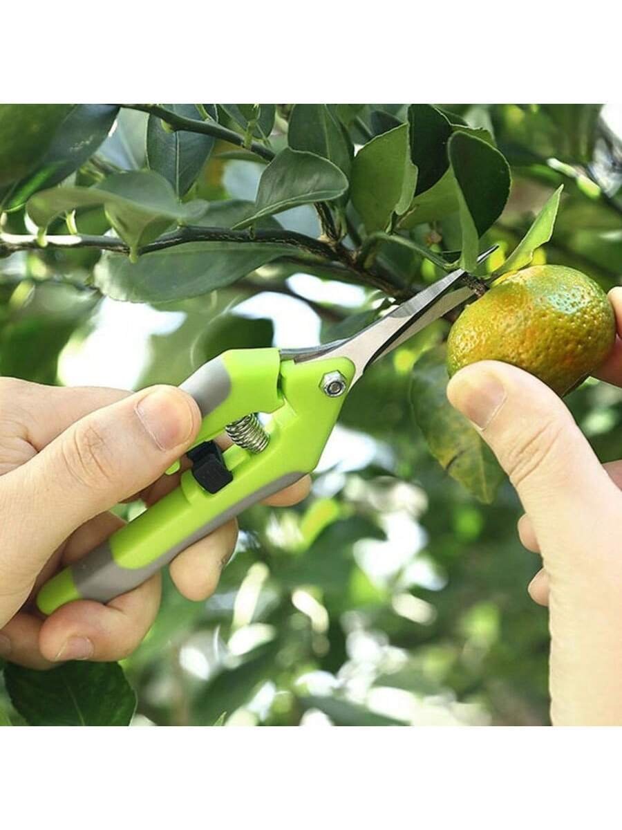 2 tijeras de podar para jardín, ideales para podar, cuidar y recortar ramas y flores. Tijeras de podar para jardinería, pinzas para plantas, bonsáis y recolección de frutas. - Imagen 4
