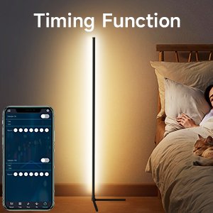 función timong