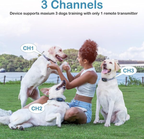 Collar de entrenamiento para perros, collar de choque para perros con control remoto, 2500 pies y 4 modos de entrenamiento pitido, vibración, choque eléctrico, IP67 impermeable, recargable, collar - Imagen 8