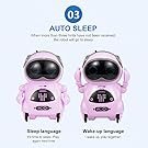 mini robots