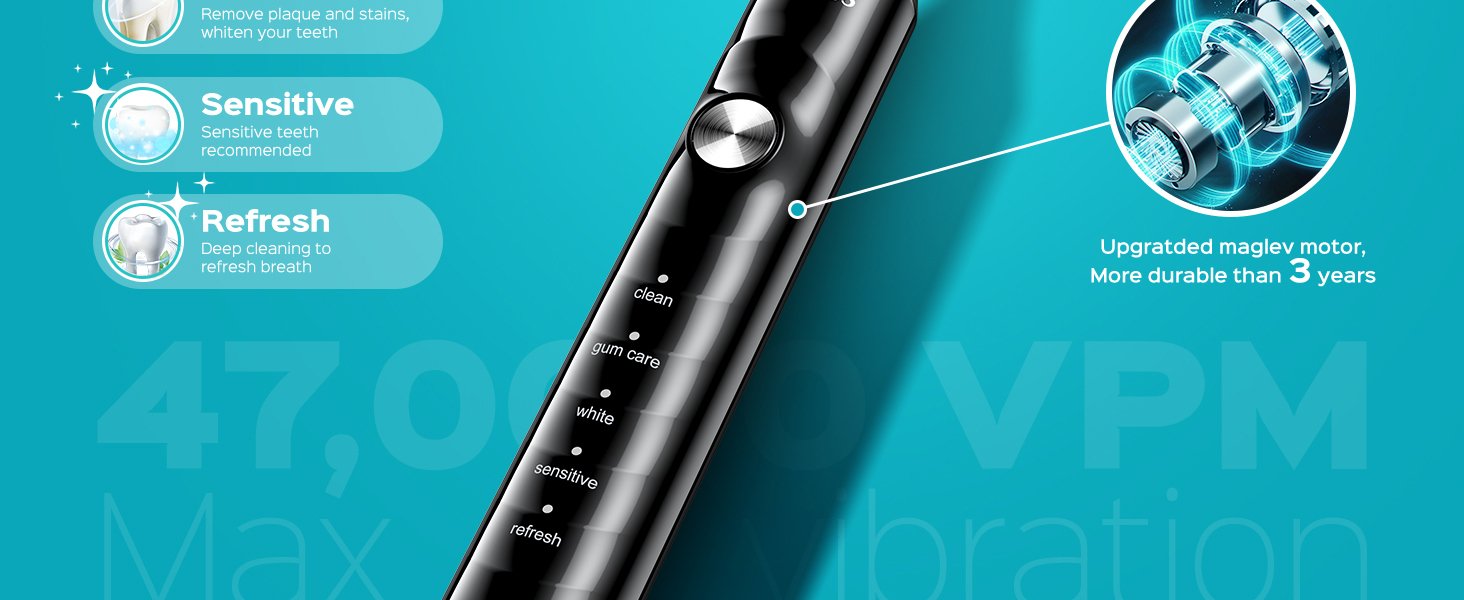 Electric Toothbrush