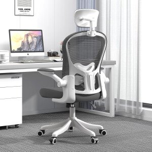 Asiento microajustable detallado, asiento de elevación y movimiento, soporte lumbar 2D, reposabrazos 2D con reposacabezas. Silla de oficina, silla de estudio, silla de juego. (W-gris)
