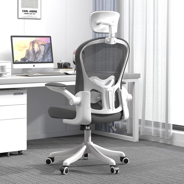 Asiento microajustable detallado, asiento de elevación y movimiento, soporte lumbar 2D, reposabrazos 2D con reposacabezas. Silla de oficina, silla de estudio, silla de juego. (W-gris)