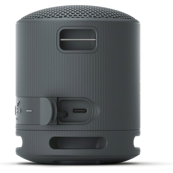 Sony SRS-XB100 Altavoz de viaje inalámbrico Bluetooth portátil, ligero, supercompacto, duradero, IP67, impermeable y a prueba de polvo, batería de 16 horas, correa versátil y llamadas manos libres, - Imagen 8