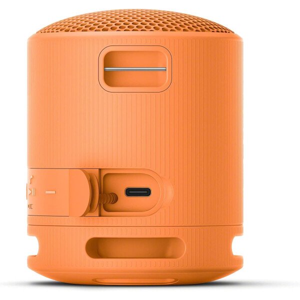 Sony SRS-XB100 Altavoz de viaje inalámbrico Bluetooth portátil, ligero, supercompacto, duradero, IP67, impermeable y a prueba de polvo, batería de 16 horas, correa versátil y llamadas manos libres, - Imagen 28