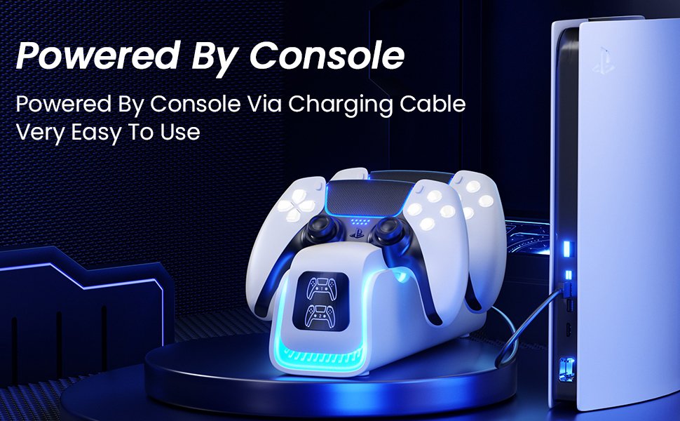 PS5 Controller Charger