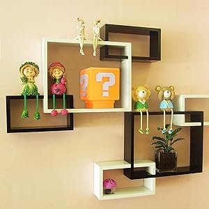 Collection for Fans