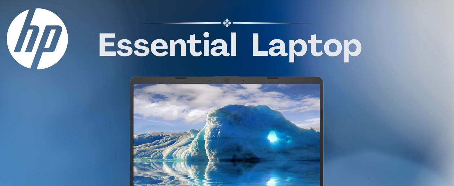 Large (4